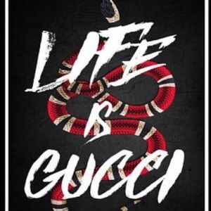 Meet your Posher, Joey